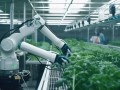 科技在农业中的应用实例：智能农业如何让种地更轻松高效