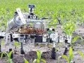 科技在农业中的作用小报：揭秘现代农业如何用智能科技让种地更轻松高效