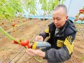 科技运用于农业：精准高效种植，让农民轻松增收