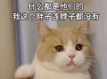 2023年最新科技龙头股名单：投资优等生，轻松把握未来财富机遇