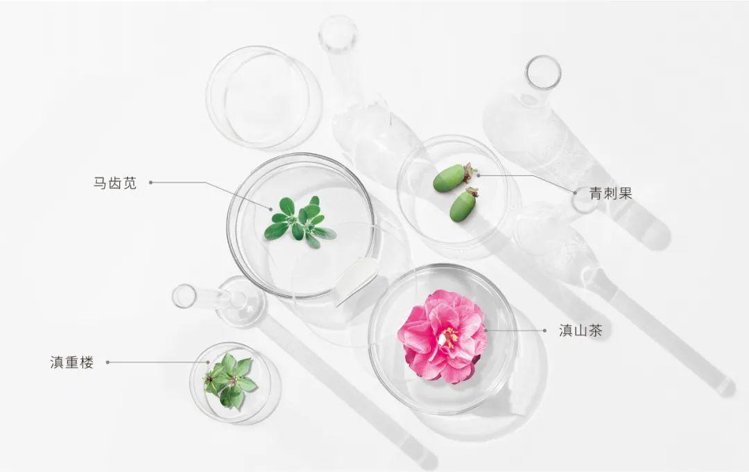 科技应用龙头股投资指南：如何抓住高增长机会并规避风险-第1张图片-金科赋能录